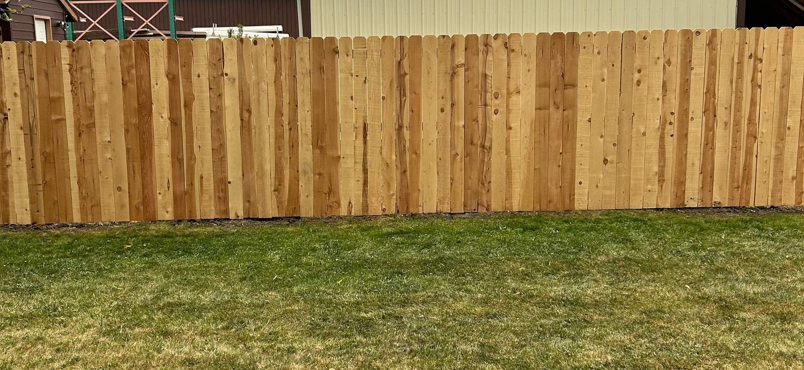 Tall cedar privacy fence along a Montana backyard
