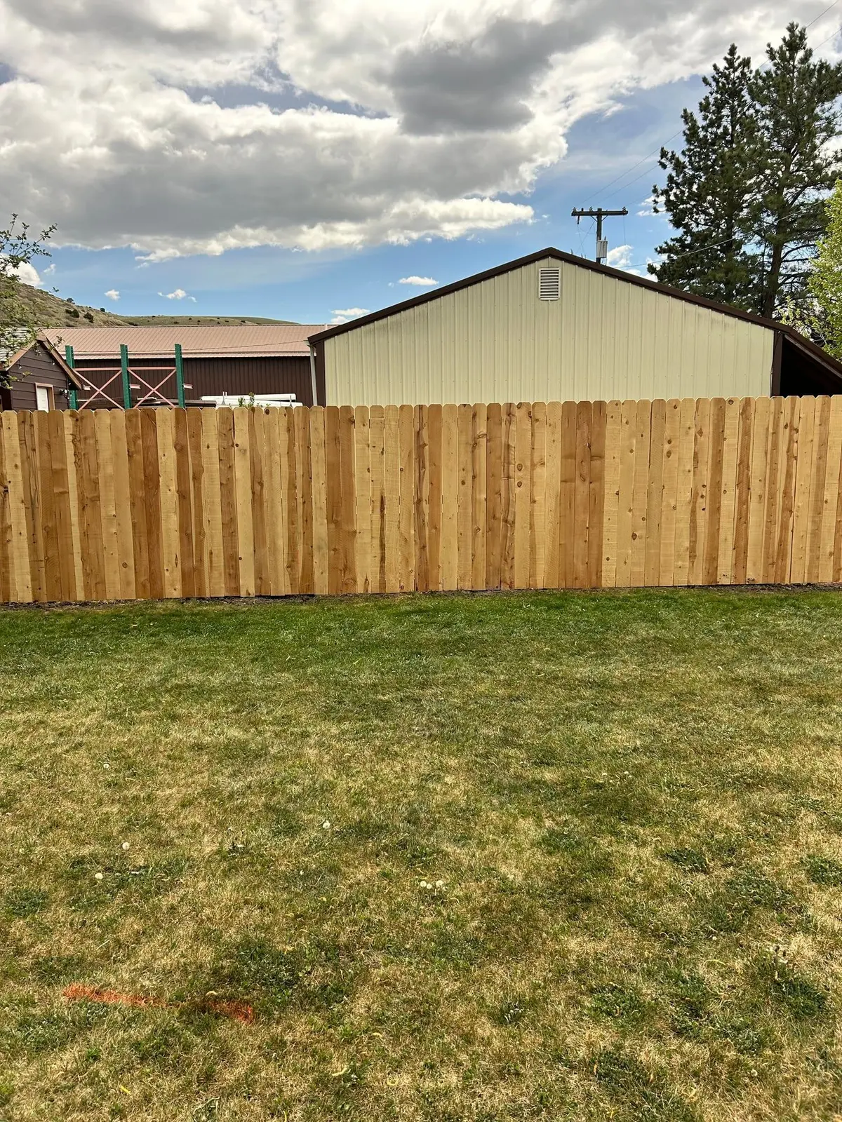 Cedar privacy fence along a backyard