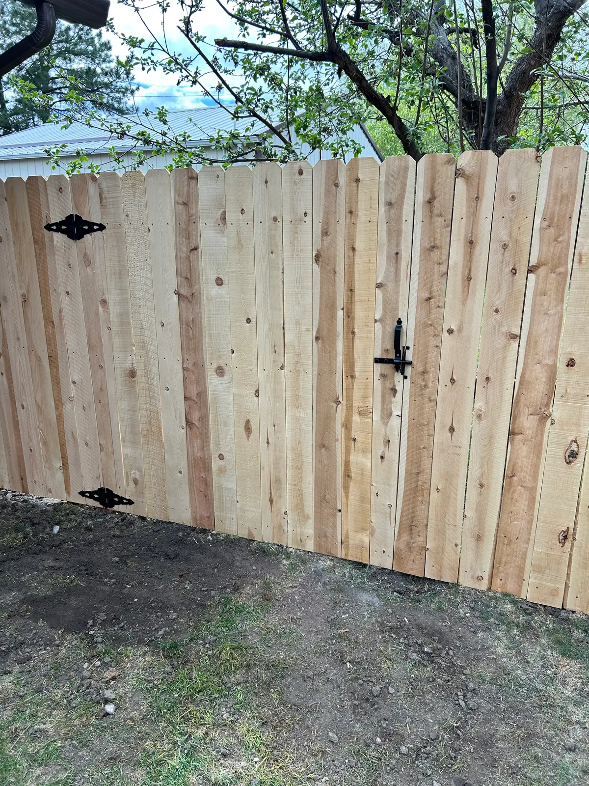 Cedar privacy gate in a backyard